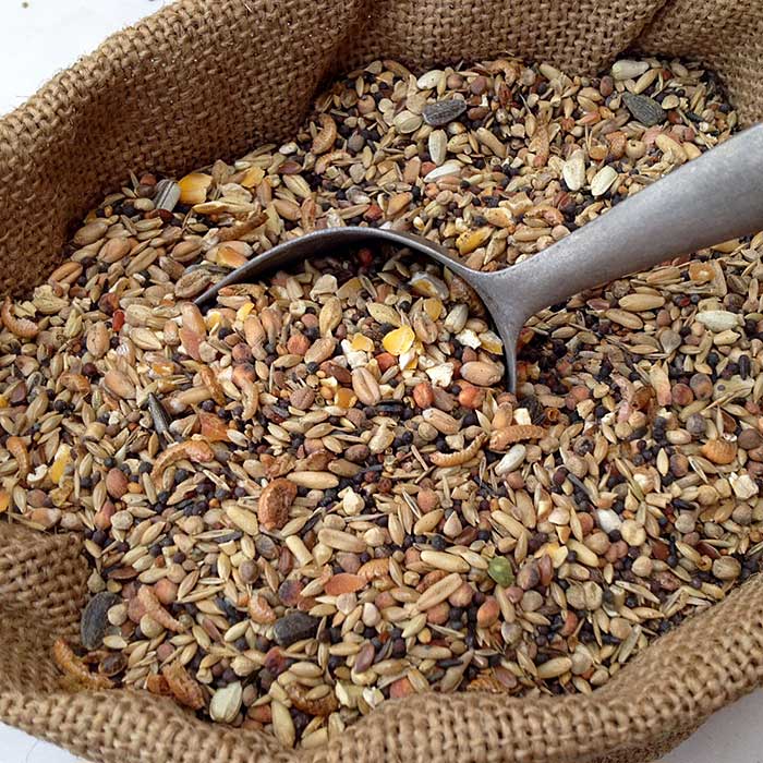 A burlap sack filled with mixed animal feed – varied seeds and grains in shades of brown, yellow, and green, with a metal scoop