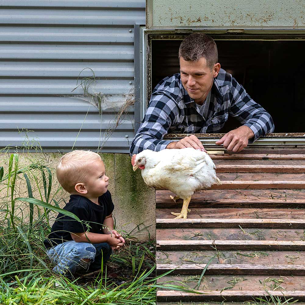 A man and a child on a farm looking at a chicken next to a barn.